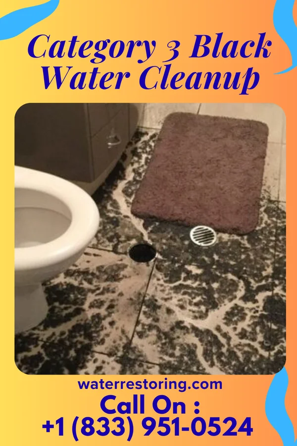 Category 3 Black Water Cleanup in West Carthage, NY